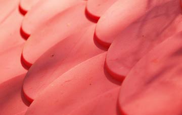 Linfitts plastic roof costs